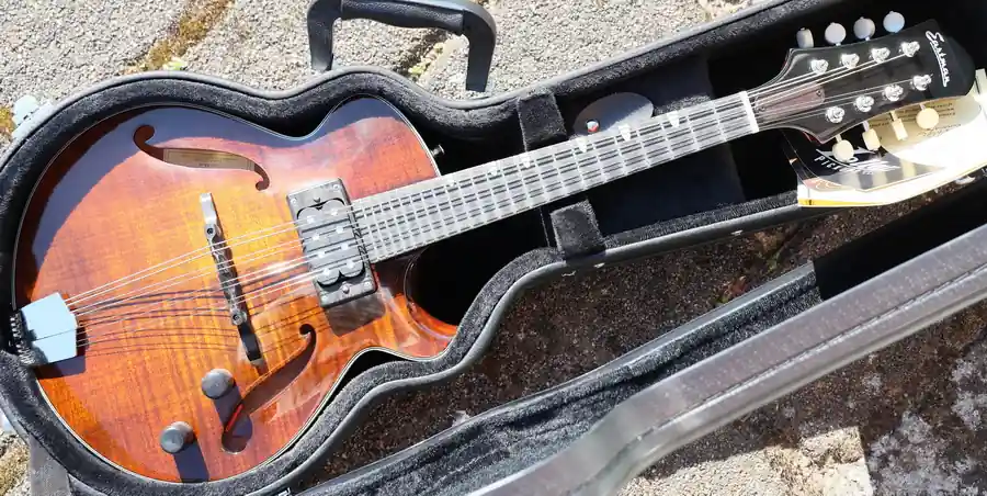 ER-M El Rey Electric Mandolin Preisknaller