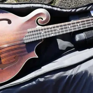 Aktuell MDA315 F-Style Mandola