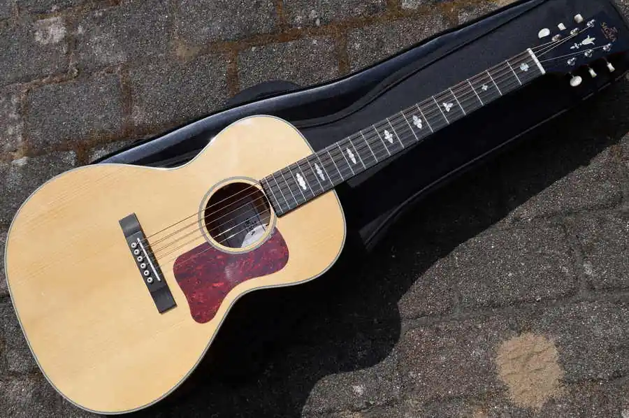 Direktkauf SLM-SG00-AN Adirondack Baggs