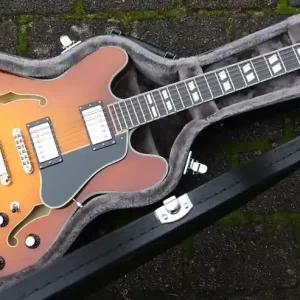 T486 Goldburst thinline Top-Angebot