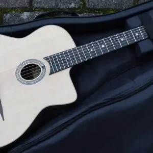 Neu DM-1 natural Gypsy Jazz Gigbag