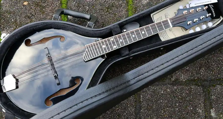 Kostenloser Rückversand MD505BK ltd A-Style Mando