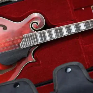 Expressversand MD615 F-Style Classic Pickup