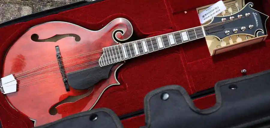 Expressversand MD615 F-Style Classic Pickup
