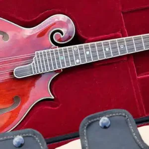MD815 F-Style mit F-Soundhole Highlight
