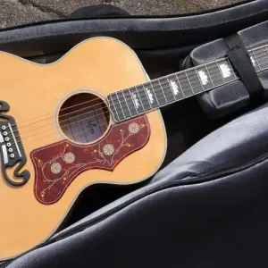 GJA-SG200-AN Jumbo Fishman Saisonangebot
