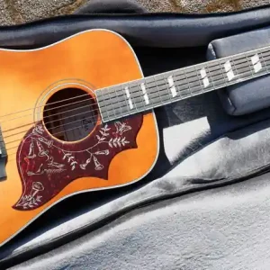 DM-SG5 sunburst fishman pu Bestseller