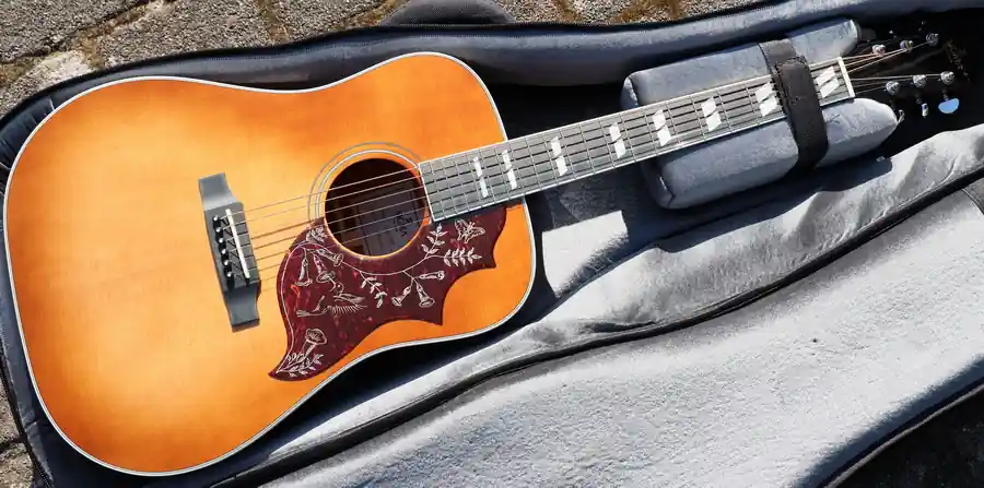 DM-SG5 sunburst fishman pu Bestseller