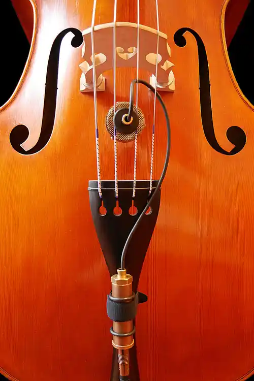 Saisonangebot Nadine Bass Mikrofon