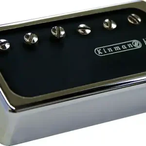 Top-Seller Extra Vintage Humbucker