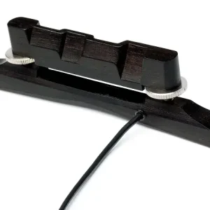 Echt M300 Nashville Mando PU