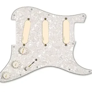 DG20 David Gilmour Pickguard Begrenztes Angebot
