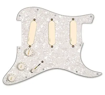 DG20 David Gilmour Pickguard Begrenztes Angebot