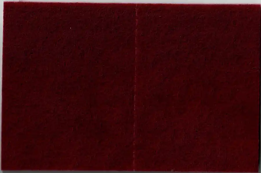 Preisknaller 7447 Scotch Brite Handpad Pro