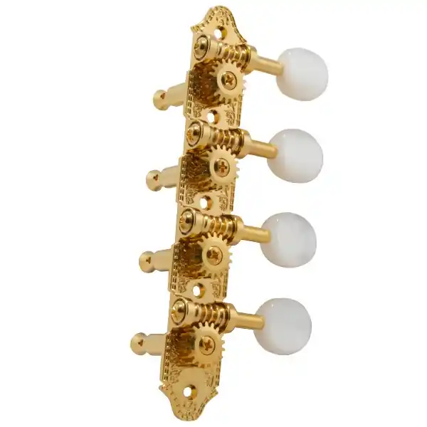 GR409G Mandolin Gold A Style P Neu