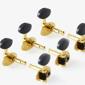 Abverkauf 3l 3r gold Ebony Stahlsaiten