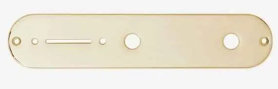 CPT1G Control Plate gold Preiswert