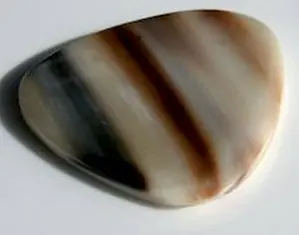 Kostenloser Versand WH1 Bone Tones White Horn