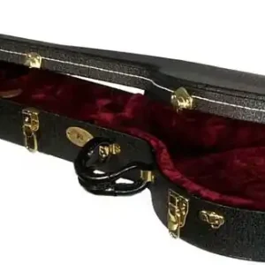 Kracherpreis 8942 Pro Open Back 5 String