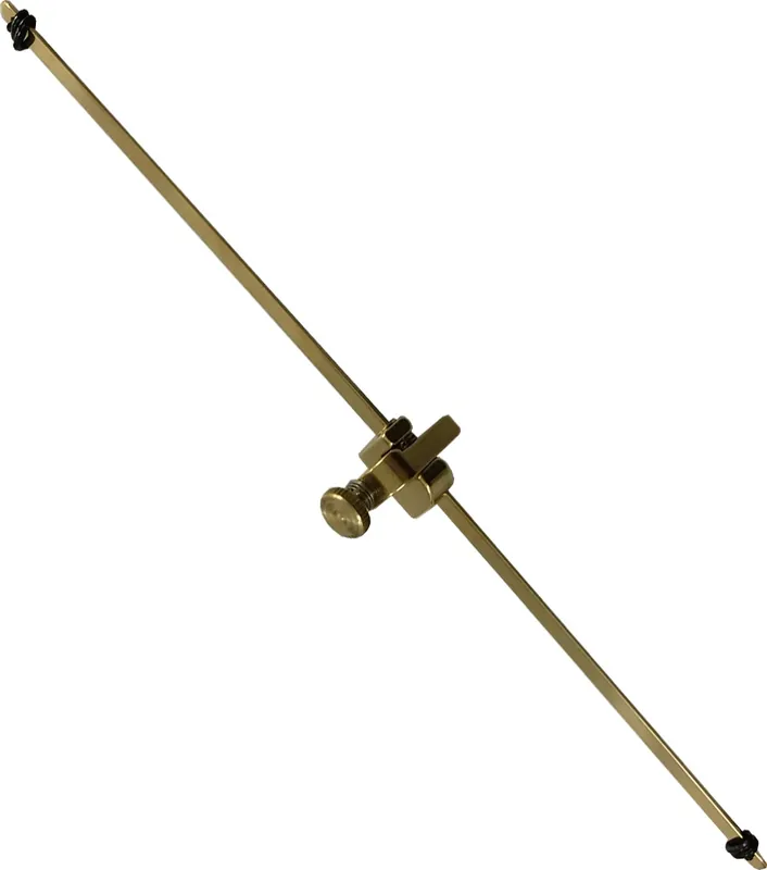 FSBLB Fifth String Banjo long Letzte Chance