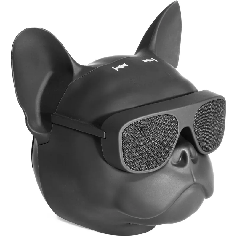 Abverkauf Ibiza DOG-SOUND Bluetooth Akku-Lautsprecher mit TWS, microSD und AUX Musik Box