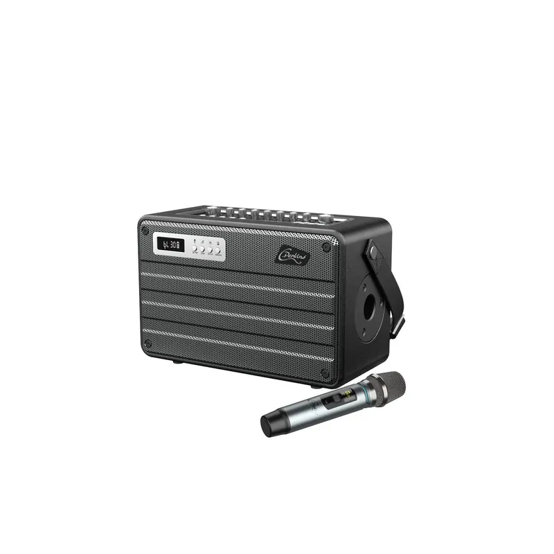 Solange Der Vorrat Reicht C.PERKINS ROADY FL – Tragbare All-in-One Beschallungsanlage mit UHF Funkmikrofon & Bluetooth – 100W