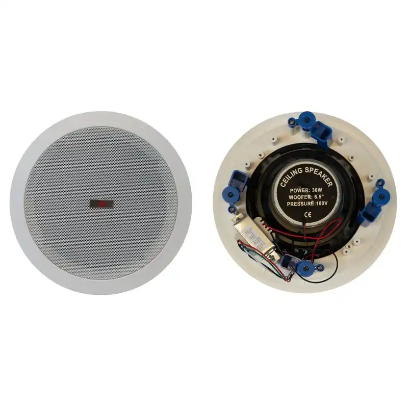 BST PRO AP1410 2-WEGE ELA DECKENLAUTSPRECHER Gratis Versand