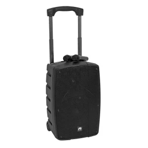 Aktuell OMNITRONIC WAMS-12BT2 Drahtlos-PA-System